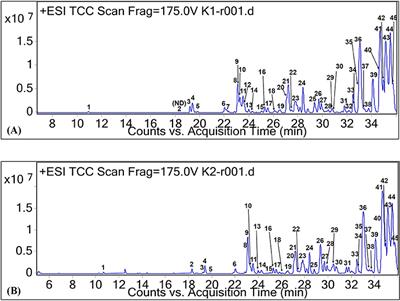 Fatty Acid Profile, Phytochemicals, and Other Substances in Canarium odontophyllum Fat Extracted Using Supercritical Carbon Dioxide